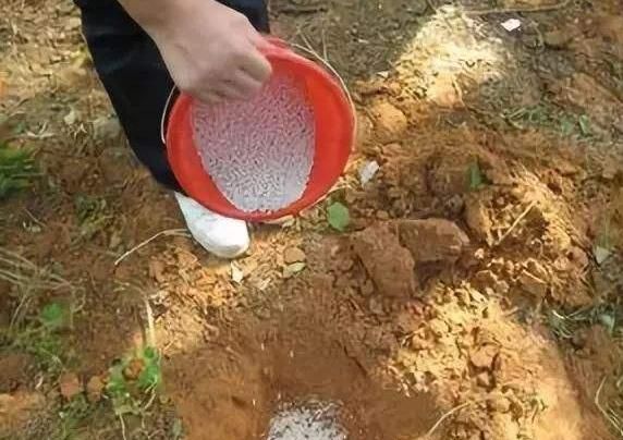 張先生維權投訴，訴稱其購買的化肥出現“板結”現象
